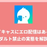 ツイキャスにエロ配信はある？アダルト禁止の規約とBAN事情｜エロい配信を見れるサービスも紹介！